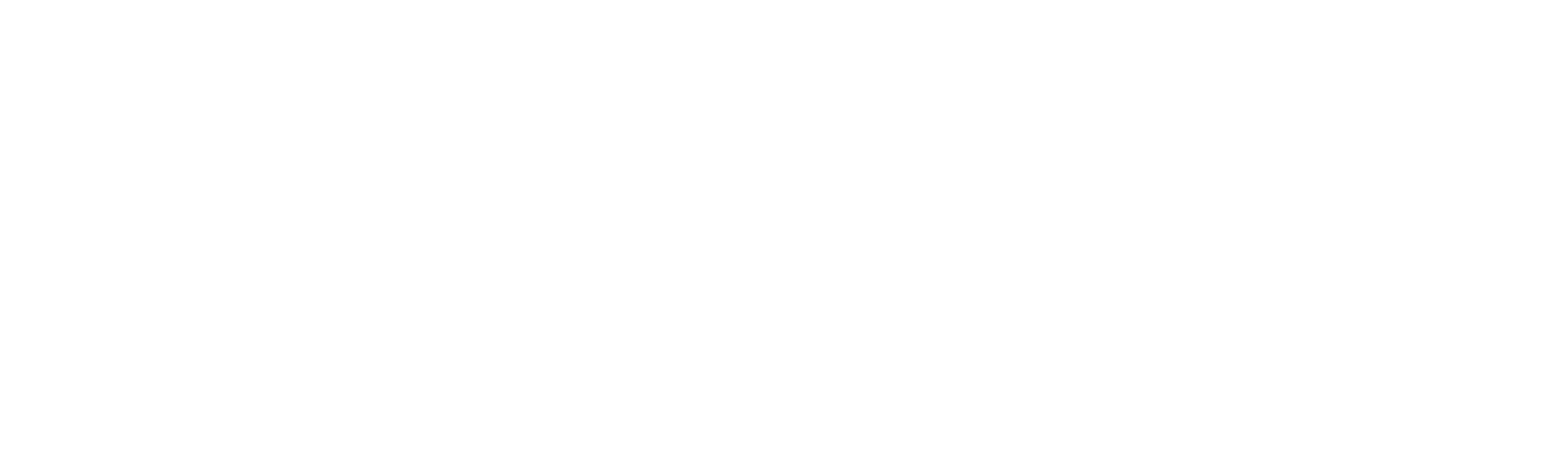 Dr Sturm Full Color Logo white