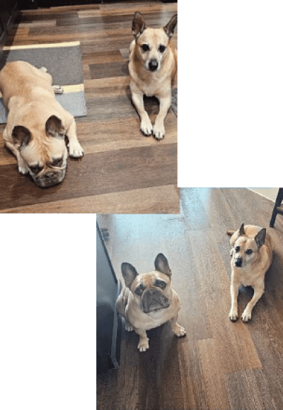 Shavonnah Roberts Schreiber